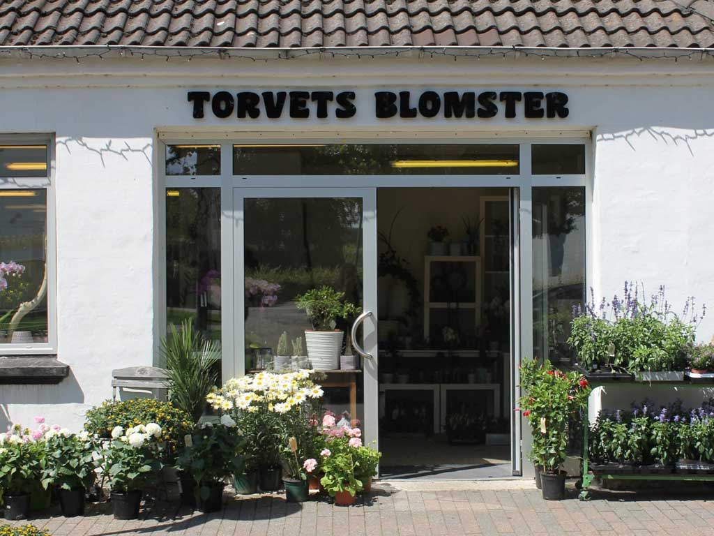 tovetsblomster