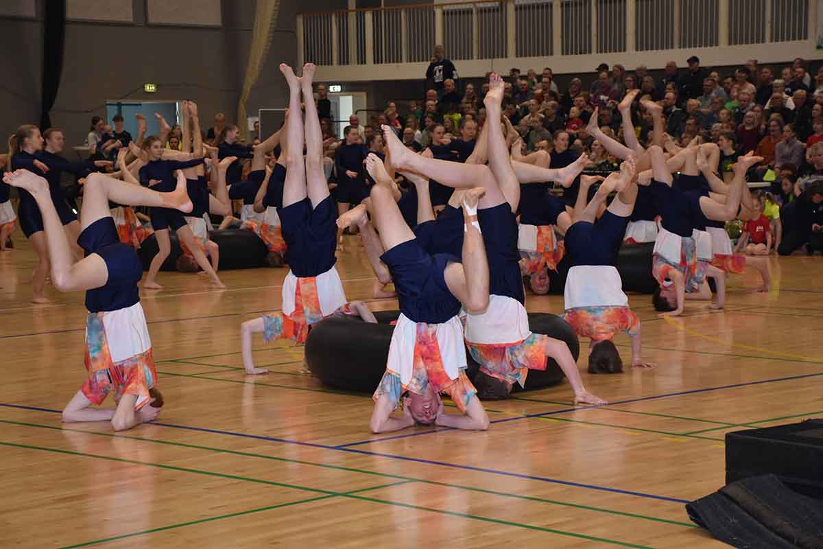 DSC_0238-web