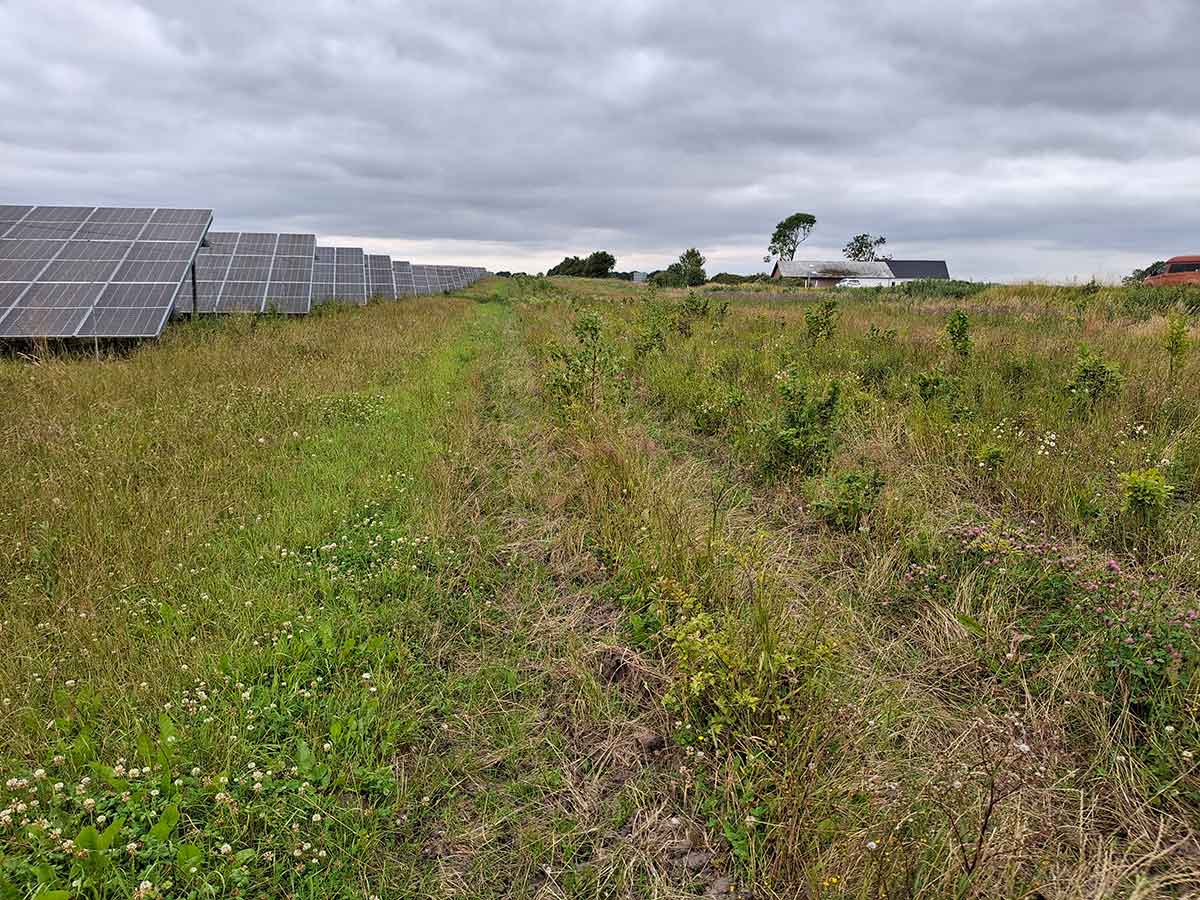 Trampesti_Vamdrup_Energipark_120725